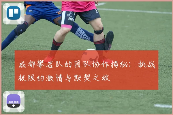 成都攀岩队的团队协作揭秘：挑战极限的激情与默契之旅